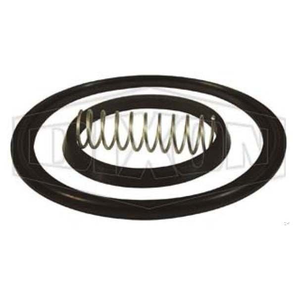 Spring Check Valve Repair Kit